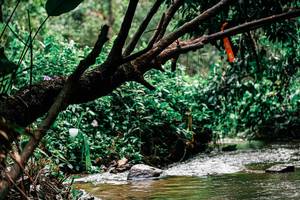 BIB: 
                            <button type="button" onclick="openModal(25268464)" class="btn btn-primary btn-sm float-right btn-popup" data-toggle="modal" data-target=".modal-high-quality">
                        <i class="fas fa-shopping-cart"></i> Add to Cart
                    </button>
                                            <button type="button" onclick="isThisMe(25268464, true)" class="btn btn-success btn-sm float-right btn-popup btn-isme hidden" data-toggle="tooltip" data-placement="bottom" title="นี่คือรูปของคุณใช่ไหม คลิกที่นี่เพื่อเอาเข้าอัลบั้ม">
                        <i class="fas fa-plus"></i> Add to album
                    </button>
                    <button type="button" onclick="isThisMe(25268464, false)" class="btn btn-warning btn-sm float-right btn-popup btn-isnotme hidden">
                        <i class="fas fa-ban"></i> Remove from album
                    </button>